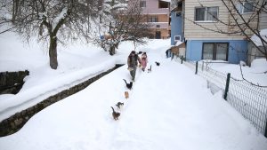 Kastamonu’da kar altındaki köyde merhamet hikâyesi: İmam kedileri aç bırakmıyor