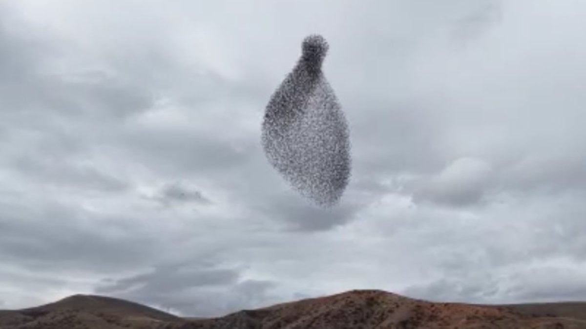 Kırıkkale’de sığırcık sürüsünden gökyüzünde görsel şölen