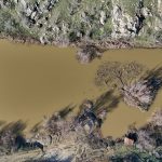 Kırklareli’nde kuruyan Teke Deresi yağışlarla yeniden akmaya başladı