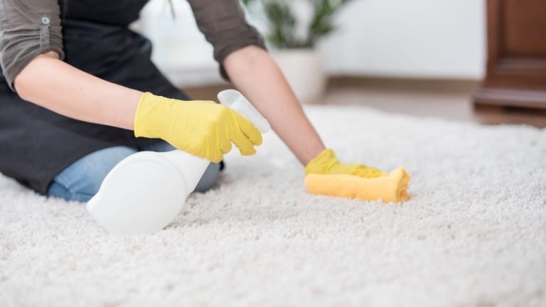 Kışın halı temizliği nasıl yapılır? Toz, kir ve küfe karşı en etkili yöntem…