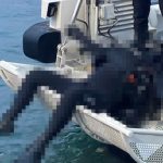 Kocaeli’de bulunan esrarengiz dalgıç cesedi mercek altında