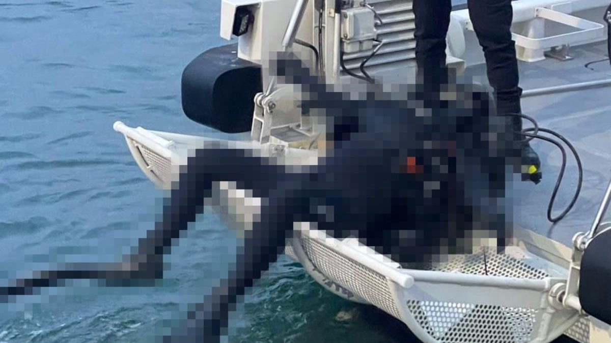 Kocaeli’de bulunan esrarengiz dalgıç cesedi mercek altında