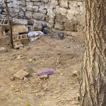 Konya’da öldürdüğü kadını bahçeye gömen sanığa ağırlaştırılmış müebbet hapis