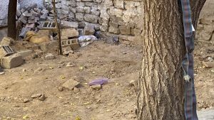 Konya’da öldürdüğü kadını bahçeye gömen sanığa ağırlaştırılmış müebbet hapis