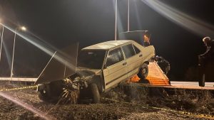 Konya’da yola çıkan domuz can aldı