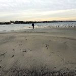 Marmara Denizi’nde endişelendiren görüntü: 50 metre çekildi