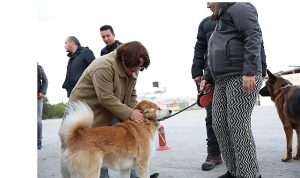 Mavişehir Mahallesi’nde Büyük Dönüşüm Devam Ediyor