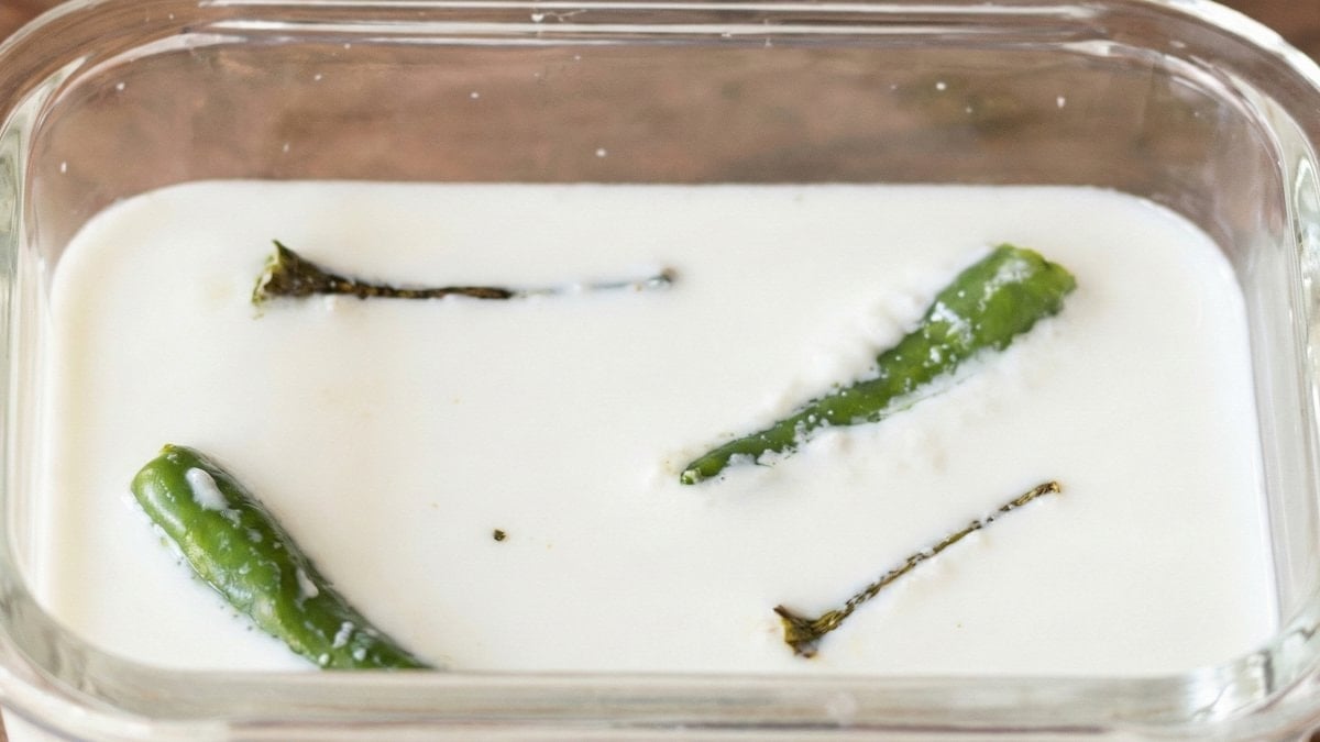 “Mayam yok” derdi bitti: İçine 2 tane atın, kalıp gibi yoğurt yapın…