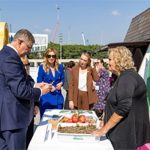 Menderes’te salep umudu