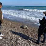 Mersin sahilinde 2 günde 2 caretta caretta telef oldu