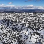 Mersin’de karla kaplanan ormanlık alandan kartpotallık görüntüler