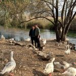 Muğla Akyaka, The Guardian’da