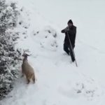 Nallıhan’da çoban, yaklaşan drone’u tehdit sanıp tüfek doğrulttu