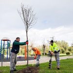 Narlıdere, Peyzaj Çalışmalarıyla Güzelleşiyor