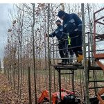 On binlerce bitki Büyükşehir fidanlığında yetişiyor