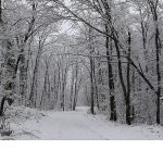 Ormanya’da kartpostallık kış manzaraları