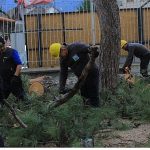 Osmangazi Belediyesi’nden Lodosa Karşı Etkin Müdahale