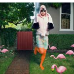 Remzi Özdemir’den İrrasyonel Yatırımcı Anatomisi