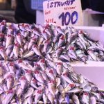 Sakarya’da tezgahlar istavritle doldu: Fiyatlar dibi gördü