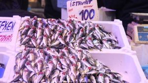 Sakarya’da tezgahlar istavritle doldu: Fiyatlar dibi gördü