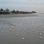 Silivri ve Avcılar’da deniz metrelerce çekildi