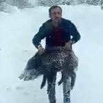 Sinop’ta domuz yakalayan adam konuştu