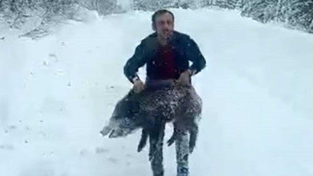 Sinop’ta domuz yakalayan adam konuştu