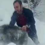 Sinop’ta eliyle domuz yakalayan kişiye 15 bin TL para cezası