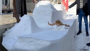 Sivas’ta bir vatandaş evinin önüne kardan araba ve gemi yaptı