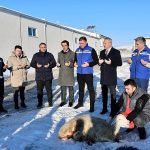 Sivas’ta Kar Yağışı İçin Şükür Kurbanı Kesildi