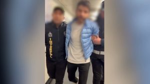 Suç örgütü Serdar Sertçelik Türkiye’ye getirildi