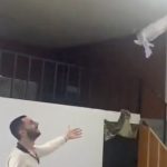 Takla atan güvercinine hayranlıkla baktığı anlarla gündem olan vatandaş yeni video geldi