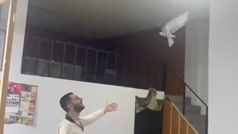 Takla atan güvercinine hayranlıkla baktığı anlarla gündem olan vatandaş yeni video geldi