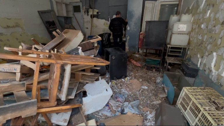 Tekirdağ’da sokakta fare paniği: Çevreyi kötü kokular sardı