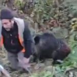 Trabzon’da avcının domuzla mücadelesi