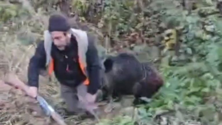 Trabzon’da avcının domuzla mücadelesi