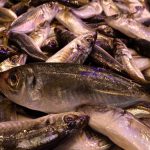 Trabzon’da kar ve fırtına nedeniyle balık tezgahlarında çeşitlilik azaldı