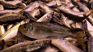 Trabzon’da kar ve fırtına nedeniyle balık tezgahlarında çeşitlilik azaldı