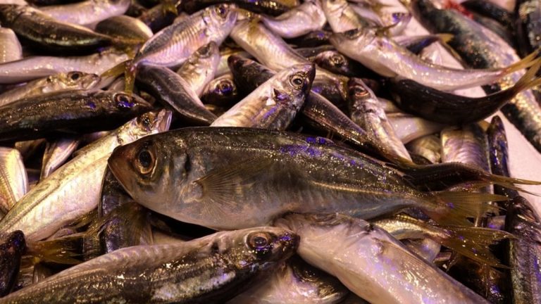 Trabzon’da kar ve fırtına nedeniyle balık tezgahlarında çeşitlilik azaldı