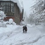 Ülke genelinde soğuk hava hakim: Birçok ilde kar etkisini sürdürüyor
