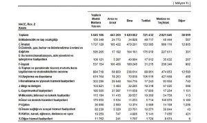 Yıllık Sanayi ve Hizmet İstatistikleri Yatırım Harcamaları, 2024