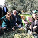 Zeytinin Başkenti Edremit’te MECİ Şenliği başlıyor