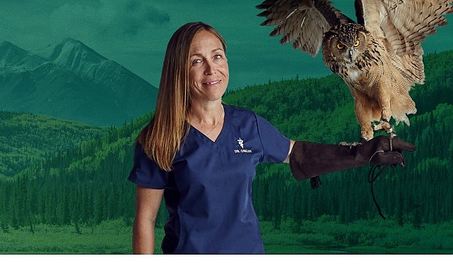 6 Bölümden Oluşan ‘Yukon Veterineri Özel’, 5. Sezonu İle 4-11-18 Şubat Çarşamba Saat 20.00’de İki Bölüm Art Arda National Geographic WILD Ekranlarında!