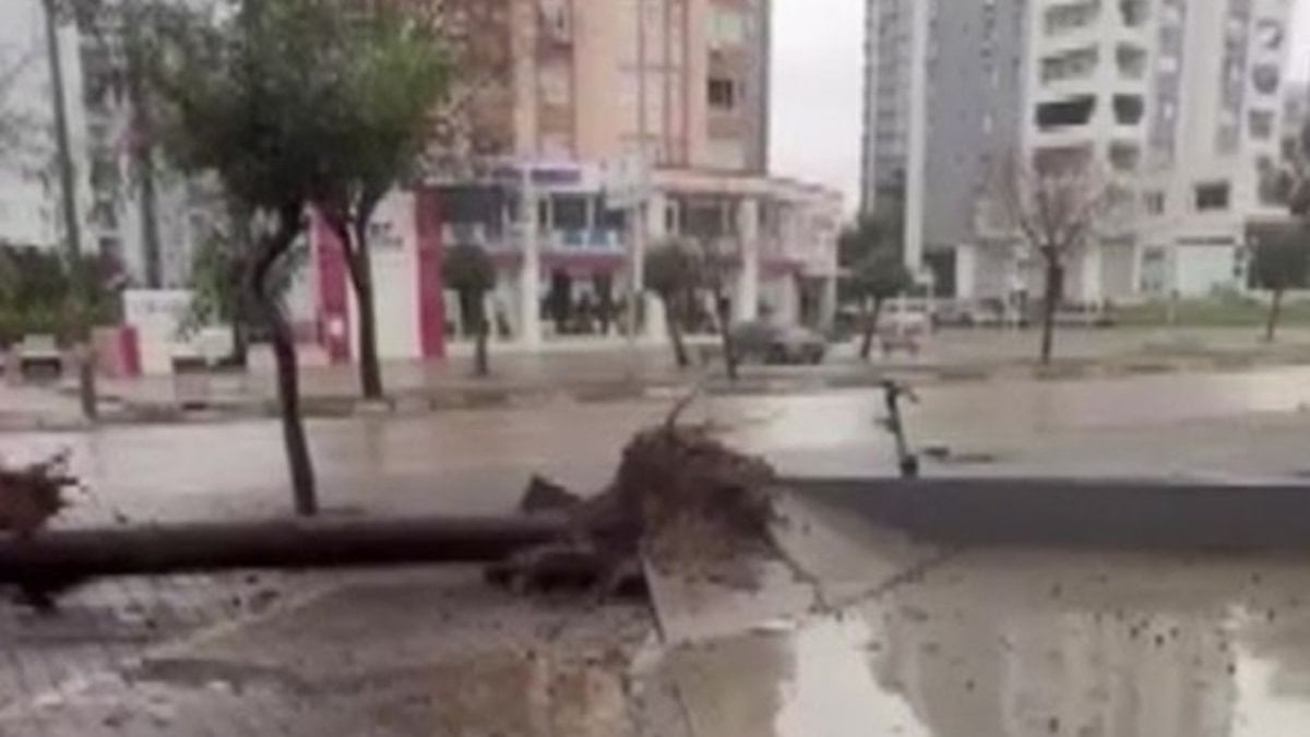 Adana’da fırtına ağaçları kökünden söktü