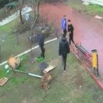 Adana’da parktaki kuş yuvasını parçalayan 4 çocuğa ev hapsi