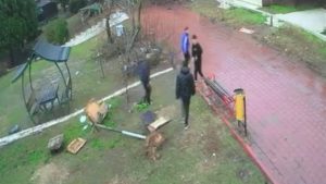 Adana’da parktaki kuş yuvasını parçalayan 4 çocuğa ev hapsi