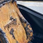 Ankara’da bindiği otobüsü ateşe verip, yangın çıkaran şüpheli tutuklandı