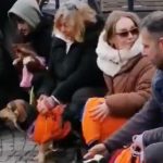 Ankara’da hayvanlar için eylem yapanlar sokak köpeğini uzaklaştırdı