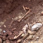 Antalya’da kazı çalışmalarında kemik parçaları bulundu