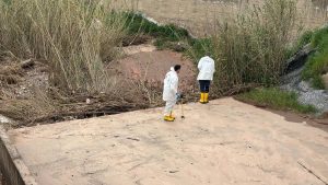 Aydın’da yaşlı çiftin öldürüldüğü cinayetin faili hurdacı çıktı